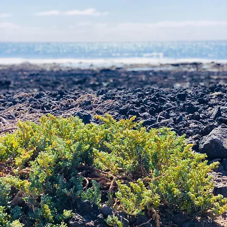 Apartament Sea Nest - Wifi Y Aire Acondicionado *