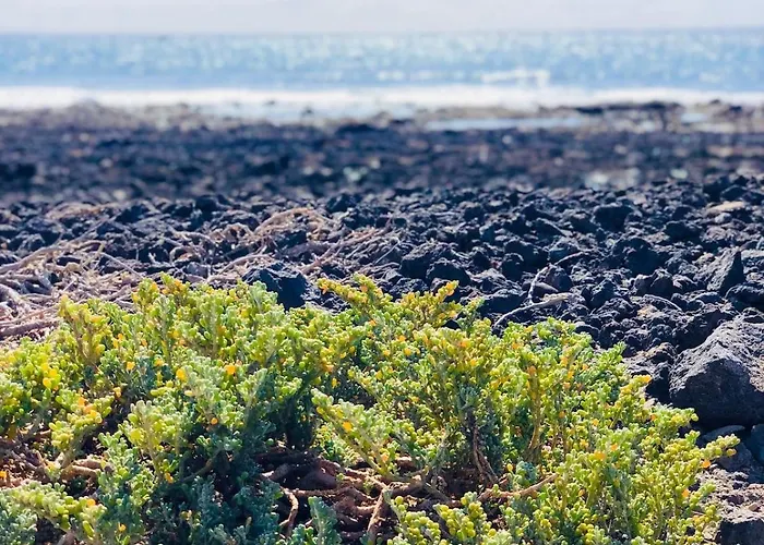 Appartement Sea Nest - Wifi Y Aire Acondicionado *